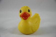 Toy Rubber Duck Bird