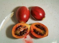 Tree Tomato Fruit In Bowl