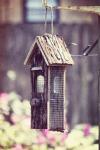 Vintage Bird-House