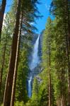Waterfalls In Woods Of Yosemite