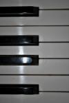 White And Black Piano Keys