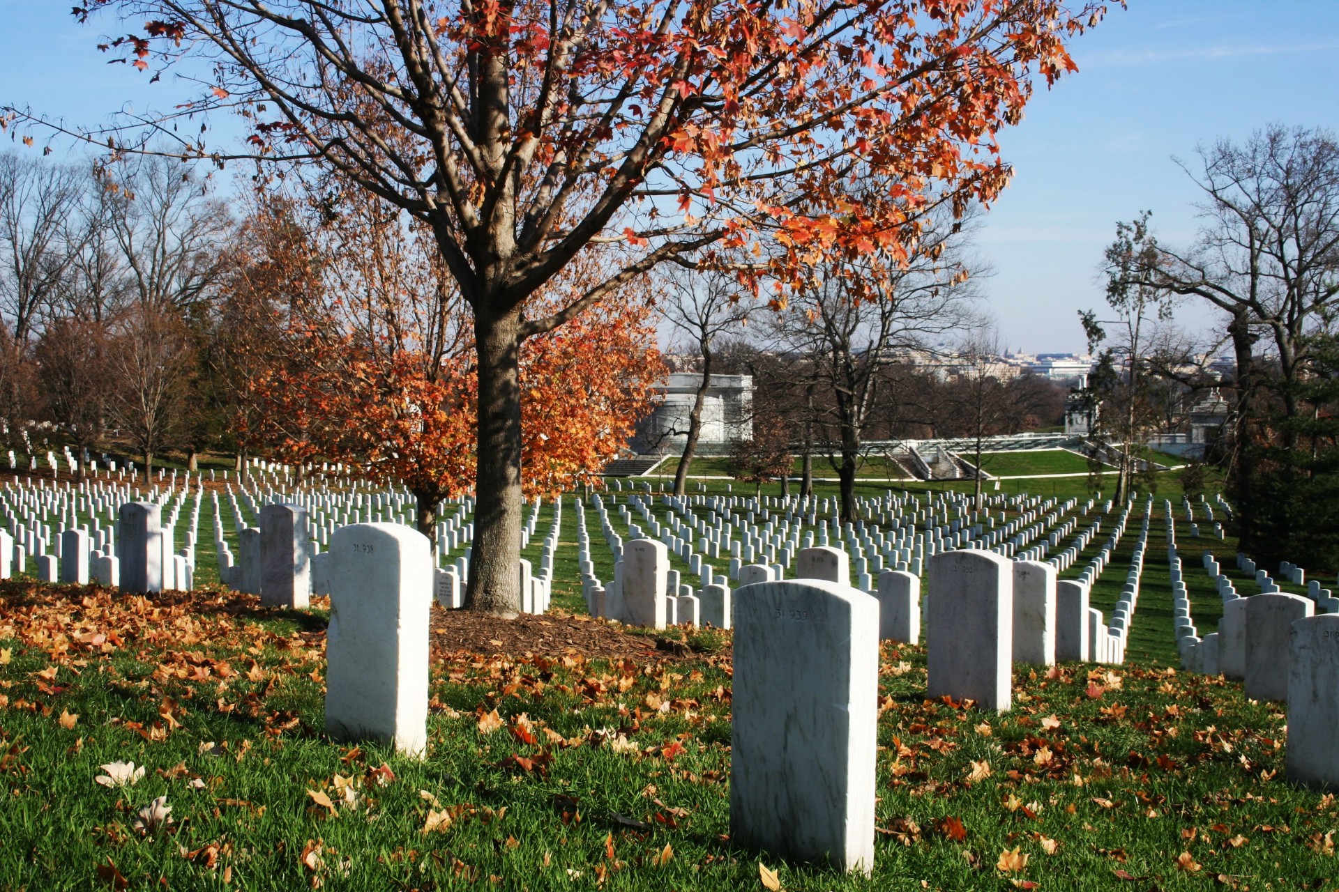 Arlington National Cemetery 3