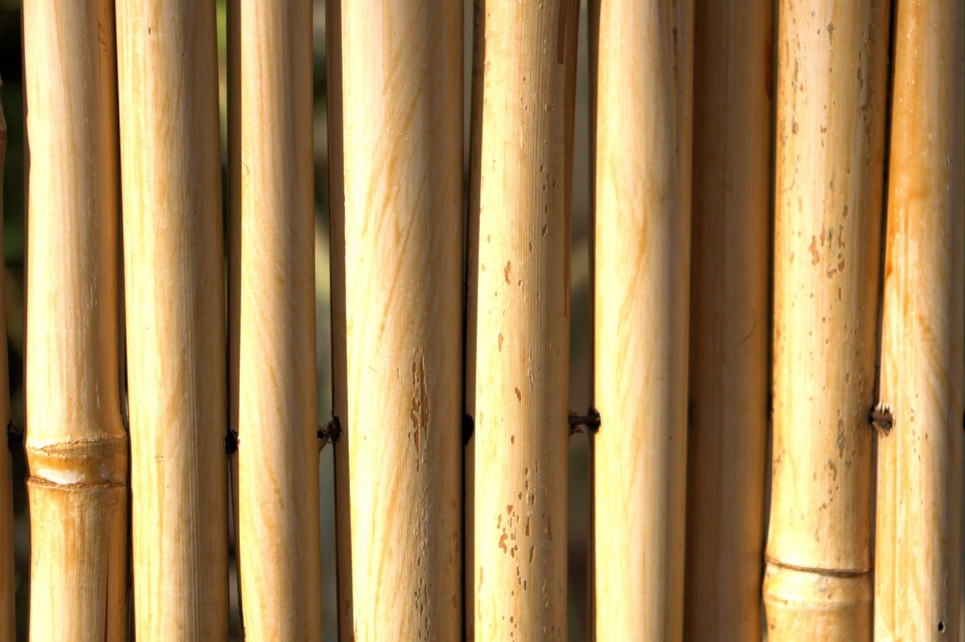 Bamboo Fence Background