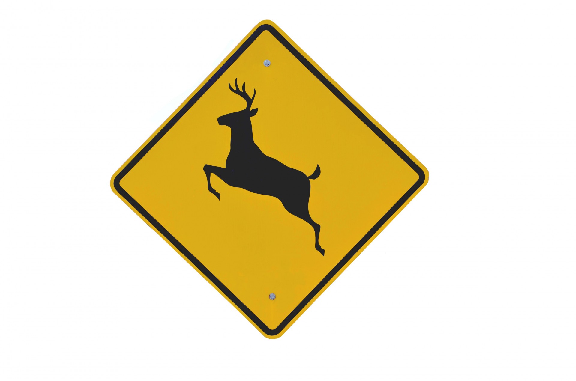 Deer crossing warning sign rural Georgia, USA