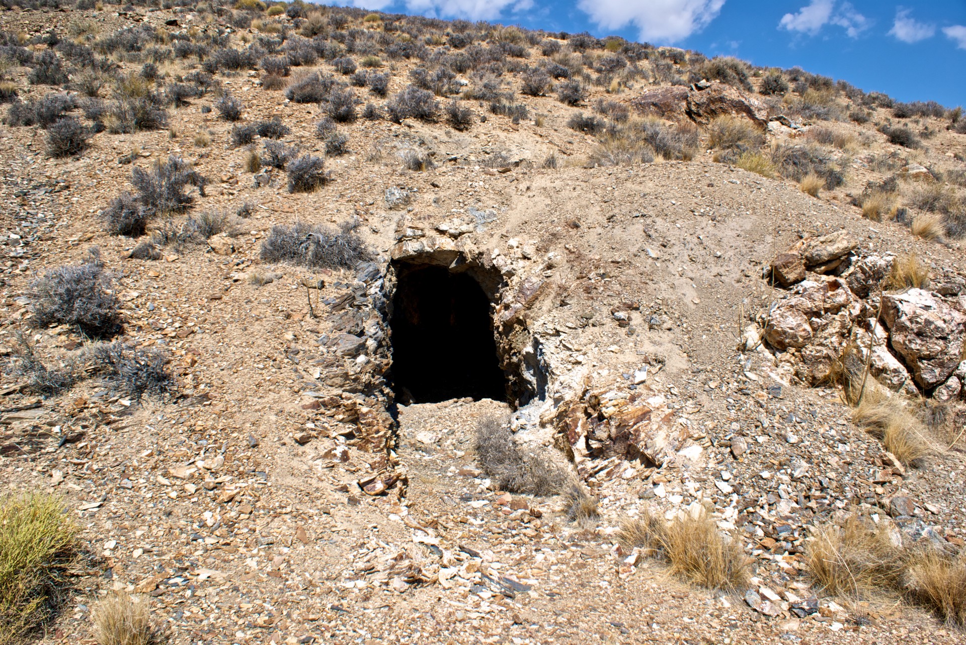 Desert Gold Mine