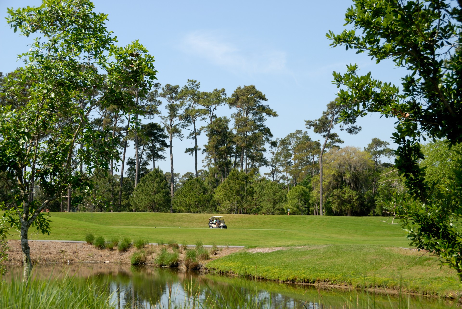Golf course greens at Florida, USA