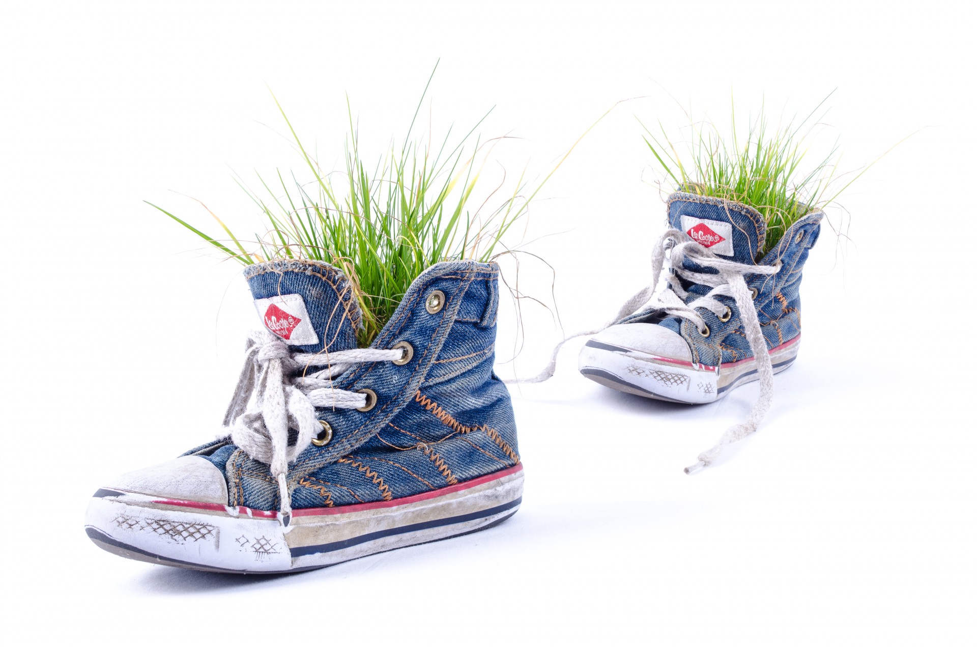 Grass In The Old Shoes