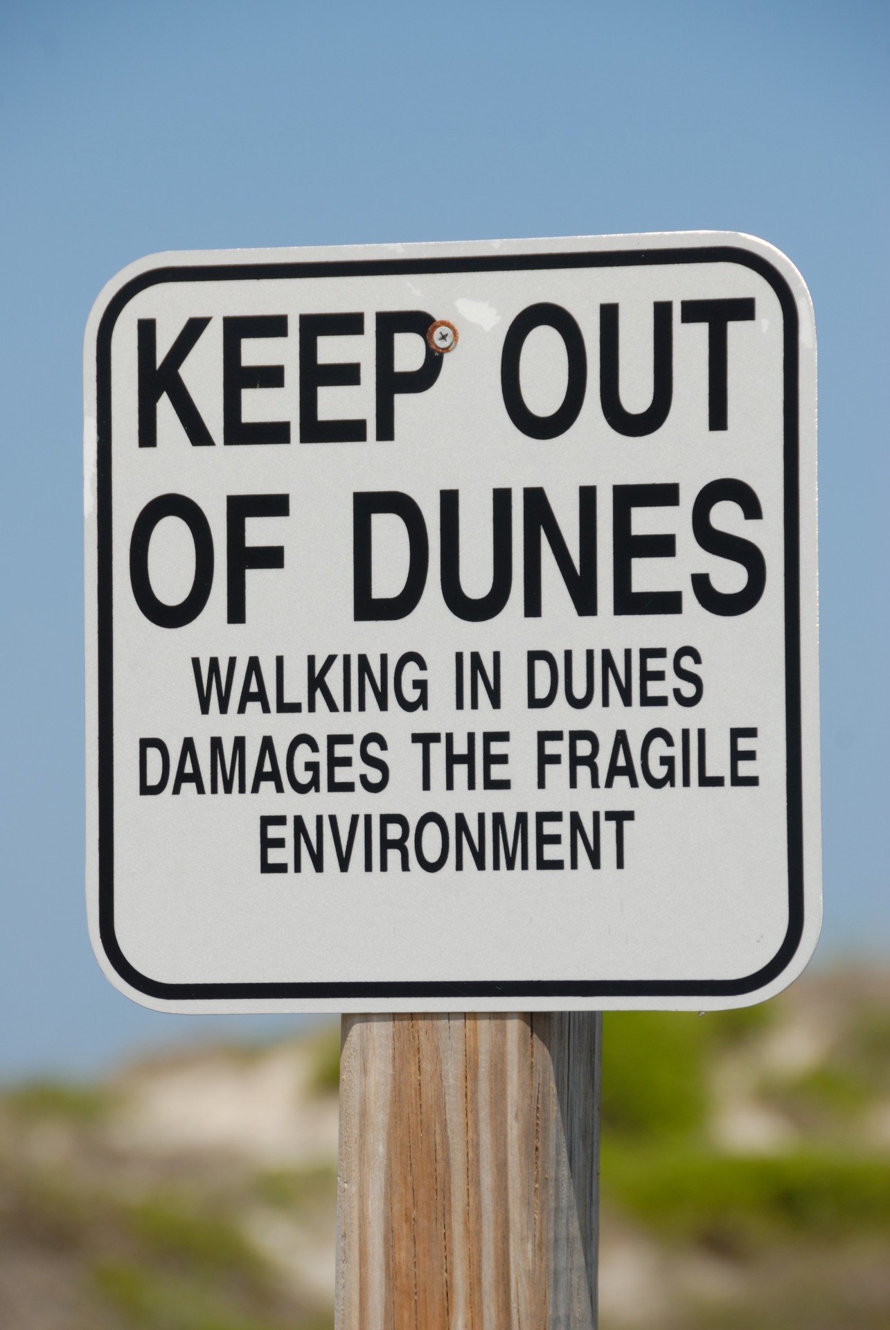 Keep Out Of Dunes Sign