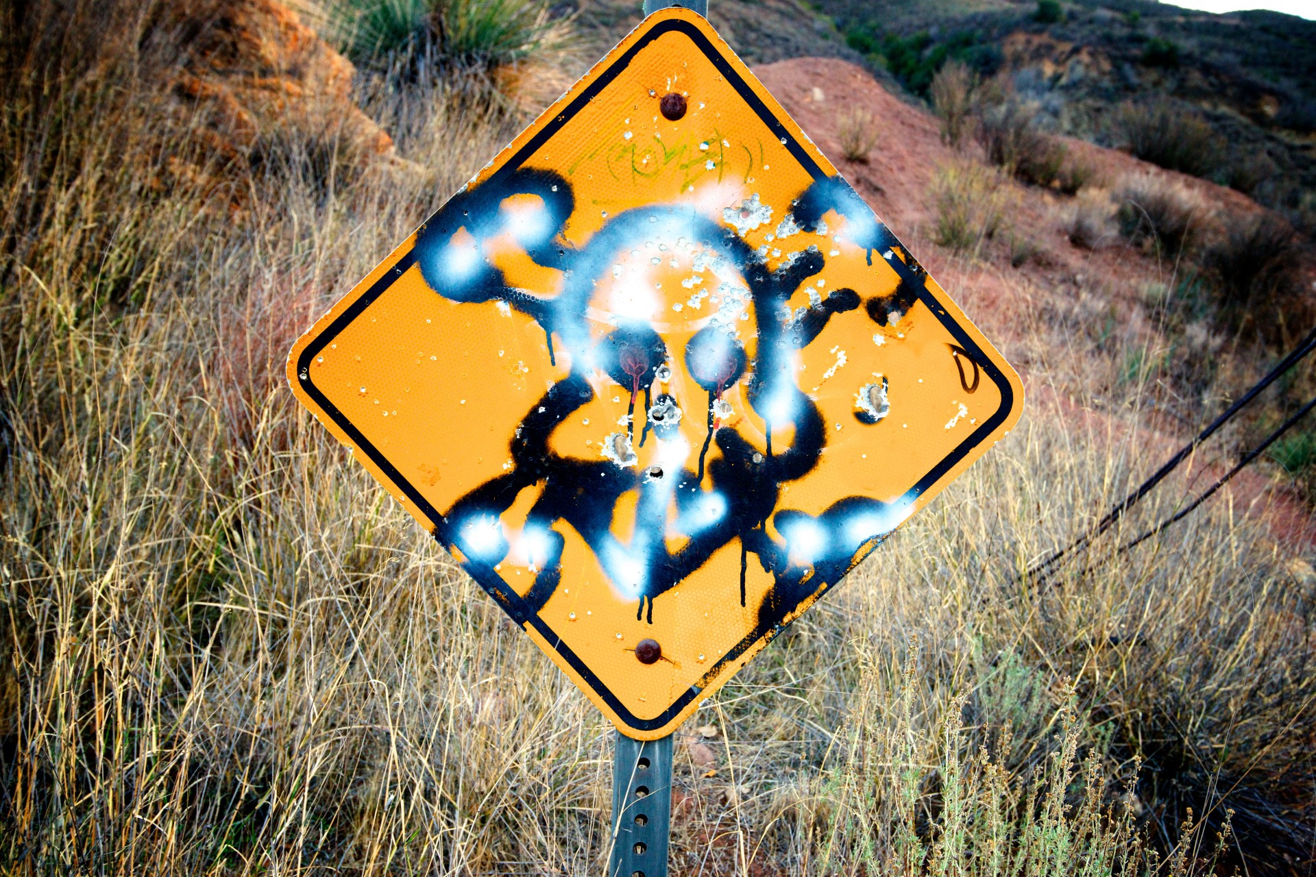 Skull and Crossbones graffiti marks a road sign long abandoned in the wilderness of California.