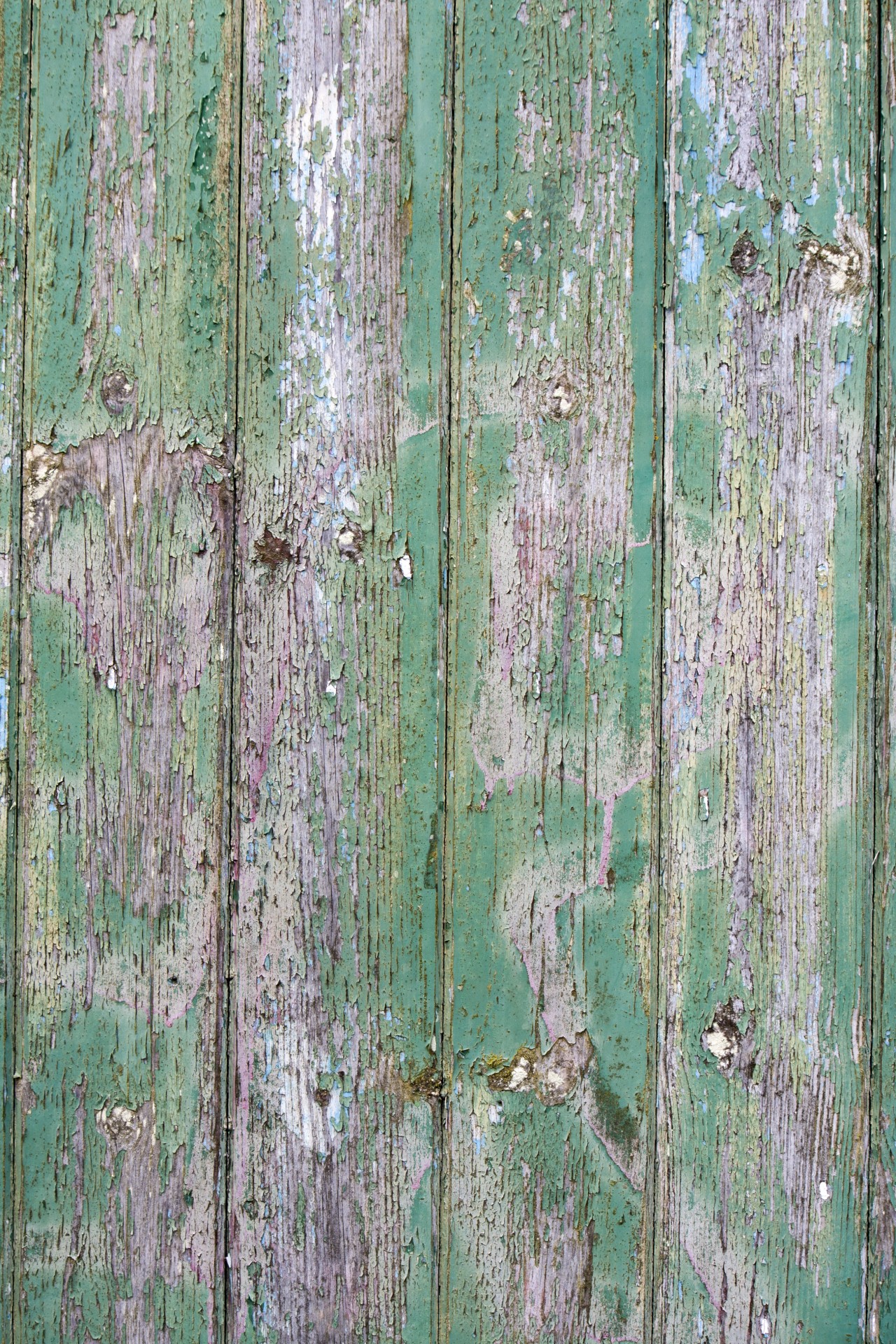 Old grunge green wood texture background wallpaper