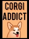 Corgi Addict
